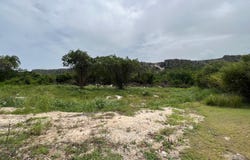 FH29+7M, Punta Cana 23000, Dominican Republic, Punta Cana, La Altagracia Province 23000