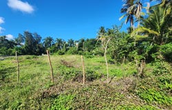 Cabarete, Puerto Plata Province