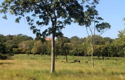 Unnamed Road, Sosúa, Puerto Plata Province 57000