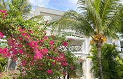 Dominicus, Higuey, La Altagracia Province