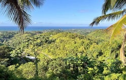 El Cosón, Samaná, Samaná Province 32000