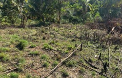 Samana, Samana, Samaná Province 32000