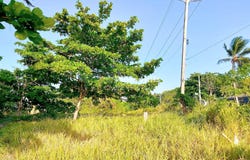 Cabarete, Cabarete, Puerto Plata Province