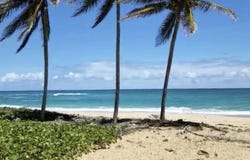Guaco, El Seibo, El Seibo Province 24000