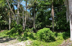 Cabarete, Puerto Plata Province