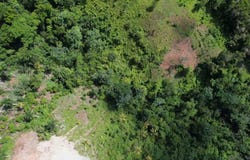 Loma De La Piña, Samaná, Samaná Province 32000