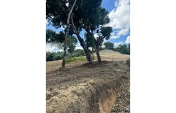 Puerto Plata, Puerto Plata Province 57000