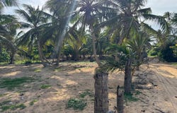 Unnamed Road, Las Lagunas de Nisibón, La Altagracia Province