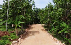 Samana, Samana, Samaná Province 32000