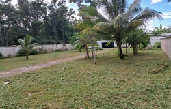 Las Ballenas, Samaná, Samaná Province 32000