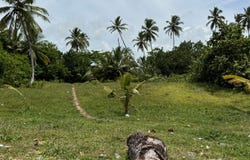 Unnamed Road, Las Lagunas de Nisibón, La Altagracia Province