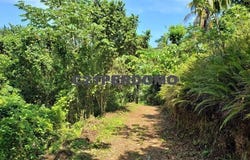 Las Terrenas, Samaná Province 32000