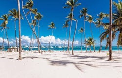 MHCV+VXV, Punta Cana 23000, Dominican Republic, Punta Cana, La Altagracia Province 23000