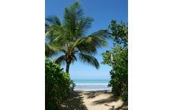 7CW4+RG, Las Terrenas, Samaná Province 32000