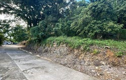 Las Ballenas, Samaná, Samaná Province 32000