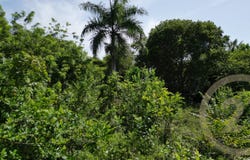 Cabarete, Puerto Plata Province