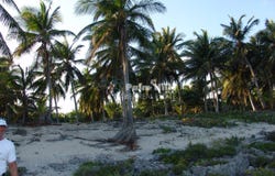 Samana, Samana, Samaná Province 32000