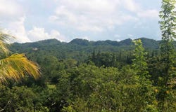 Unnamed Road, Sosúa, Puerto Plata Province 57000