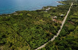 Las Galeras, Samaná, Samaná Province 32000