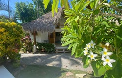 Camino Cosón, Las Terrenas, Samaná Province 32000