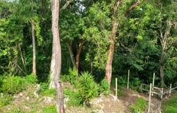QF9X+4QM, Sosúa 57000, Dominican Republic, Sosua, Puerto Plata Province 57000