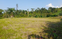 El Jamito, Samaná, Samaná Province 32000