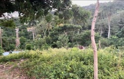 Puerto Plata, Puerto Plata, Puerto Plata Province 57000