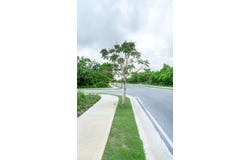 Calle Roble, Punta Cana, La Altagracia Province 23000