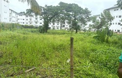 Abra Grande, Samaná, Samaná Province 32000