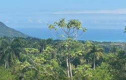 Cupey, Cupey, Puerto Plata Province 57000