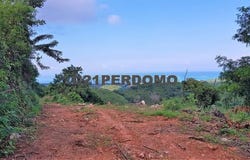 Las Terrenas, Samaná Province 32000