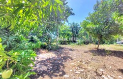 QH7F+C5M, Cabarete 57000, Dominican Republic, Cabarete, Puerto Plata Province 57000