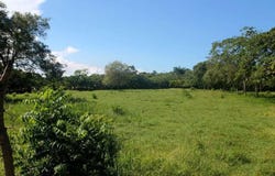 Unnamed Road, Sosúa, Puerto Plata Province 57000