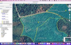 El Cosón, Samaná, Samaná Province 32000