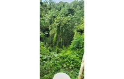 QF9X+4QM, Sosúa 57000, Dominican Republic, Sosua, Puerto Plata Province 57000
