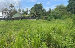 Las Terrenas, Samaná Province 32000