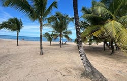 Las Ballenas, Samaná, Samaná Province 32000