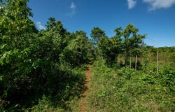 Las Galeras, Las Galeras, Samaná Province 32000