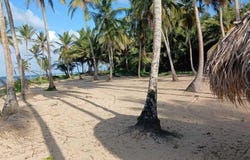 Bávaro, Higuey, La Altagracia Province 23000
