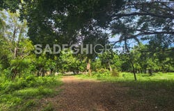 QF9P+5J9, Sosúa 57000, Dominican Republic, Sosúa, Puerto Plata Province 57000