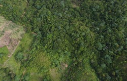 La Guázara, Samaná, Samaná Province 32000