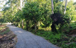 10 Prime, Terrenas, Samaná Province 32000