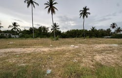 MHPG+PC2, Punta Cana 23000, Dominican Republic, Punta Cana, La Altagracia Province 23000