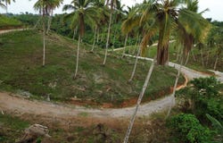 Samana, Samana, Samaná Province 32000