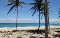 Guaco, El Seibo, El Seibo Province 24000