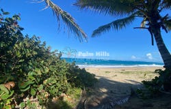 QH2P+97R, Cabarete 57000, Dominican Republic, Cabarete, Puerto Plata Province 57000