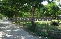 Las Terrenas, Samaná Province 32000
