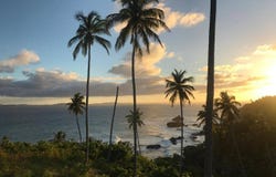 Punta Balandra, Samaná, Samaná Province 32000