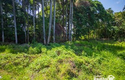 R73H+6G5, Av. Manolo Tavarez Justo, Puerto Plata 57000, Dominican Republic, Puerto Plata, Puerto Plata Province 57000