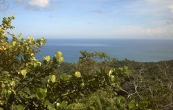 El Cosón, Samaná, Samaná Province 32000